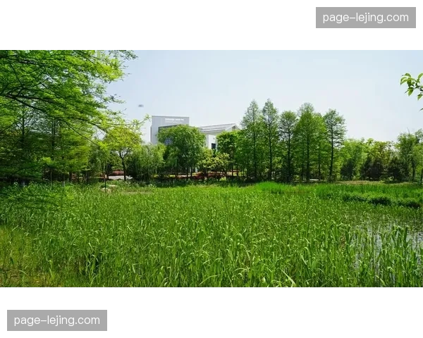 赛事素材库向第三方开发者开放 生态二次创作释放红利